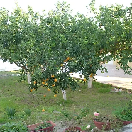 Likourgos Appartement